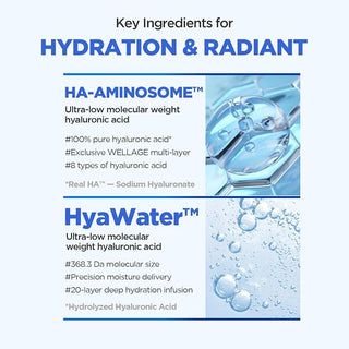 Wellage - Real Hyaluronic Blue Sun Cream SPF50+ PA++++ 50ml
