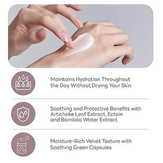 Molvany - Artichoke Calming Care Soothing Cream 100ml - Koreabe
