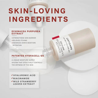 Rawquest - Echinacea Calming Moisture Ampoule 50ml - Koreabe