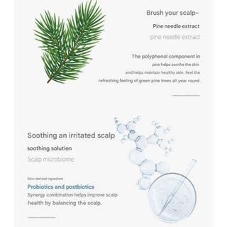 RE:NOIA - Scalp Cooling Shampoo 300ml - Koreabe