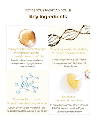 Daylisse - Royal Night Ampoule 21ml - Koreabe