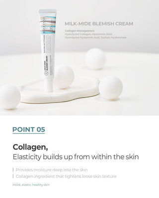 Daylisse - Milk Mide Blemish Cream 20ml - Koreabe