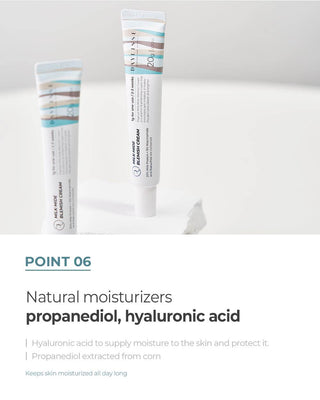 Daylisse - Milk Mide Blemish Cream 20ml - Koreabe