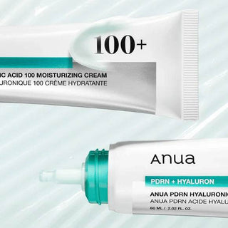 Anua - PDRN Hyaluronic Acid 100 Moisturizing Cream 60ml - Koreabe