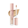 Banila Co Converious Power Fit Concealer - 2 Colors