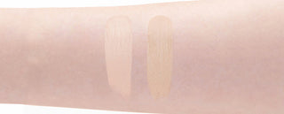 Banila Co Converious Power Fit Concealer - 2 Colors