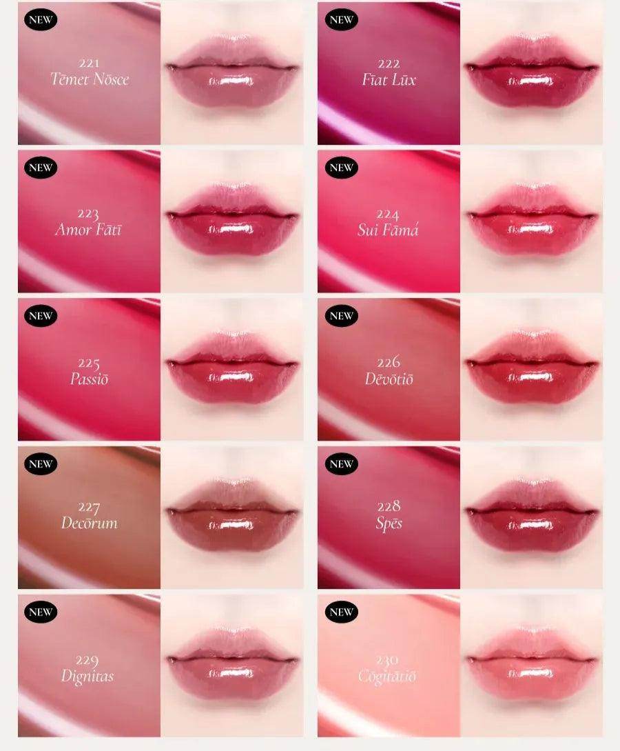 Dinto - Blur-Glowy Lip Tint - 30 Colors - Koreabe