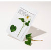 Hue_Calm - Heartleaf pH Balancinh Mask 10pcs