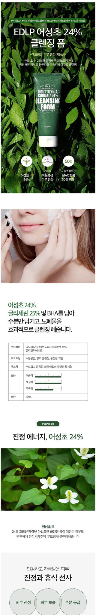 Derma Factory - Houttuynia Cordata 24% Cleansing Foam 120ml - Koreabe